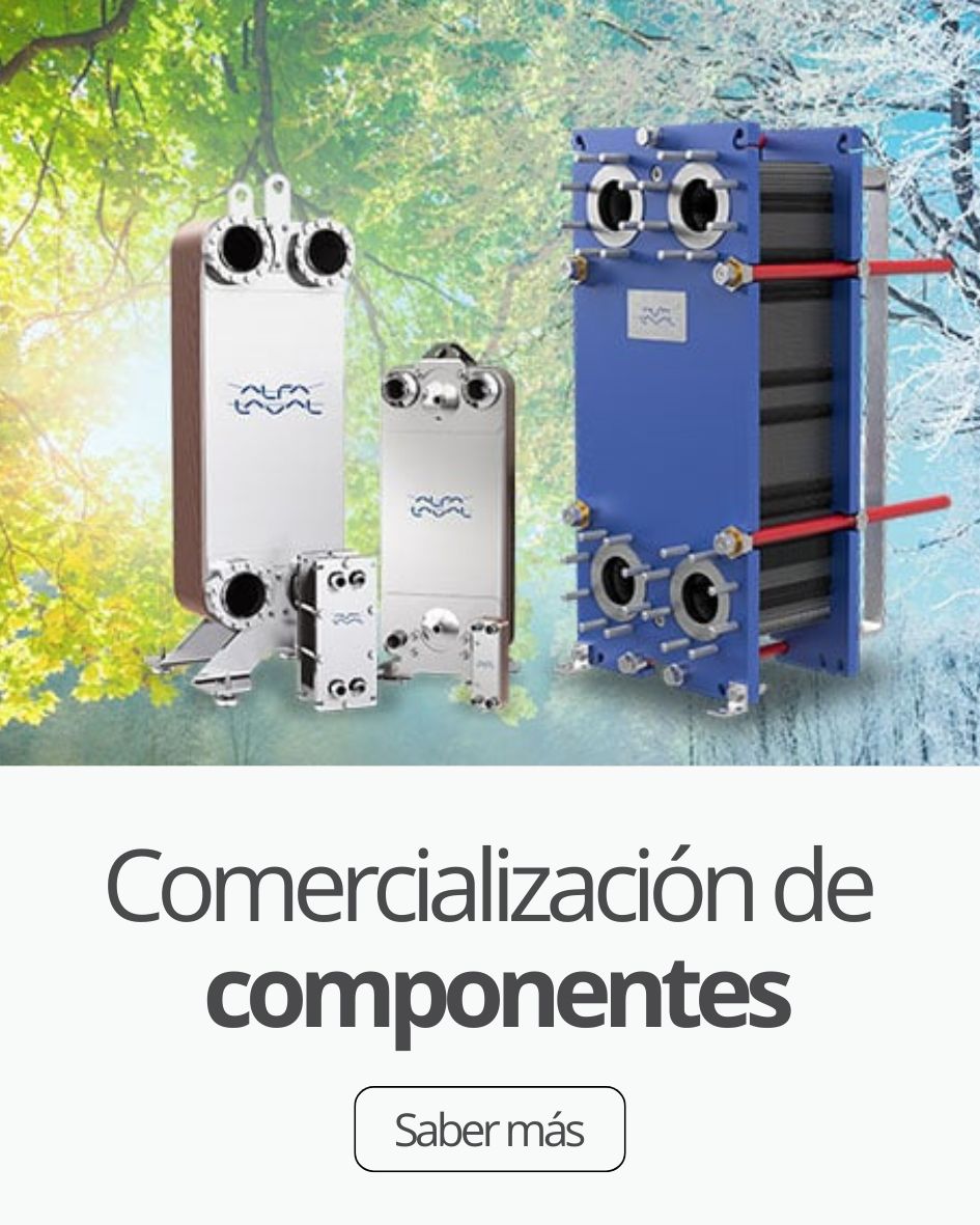 serviciosalserv1.1